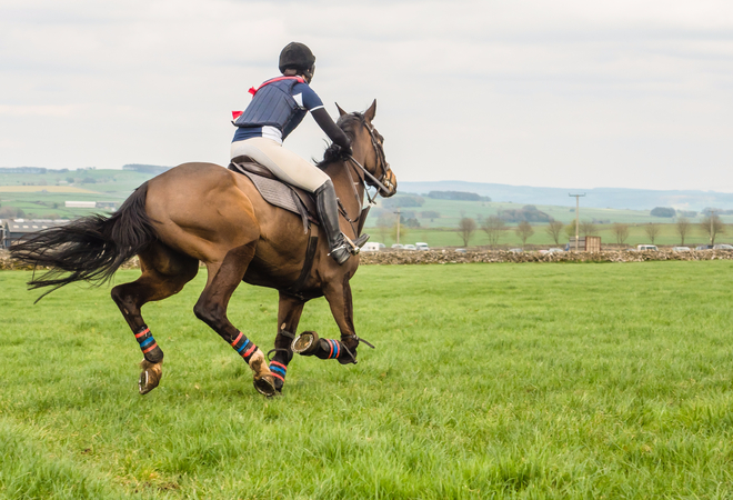 shutterstock_624539657 (1)