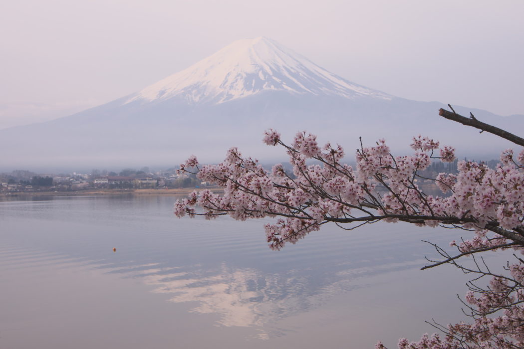 shutterstock_627866495